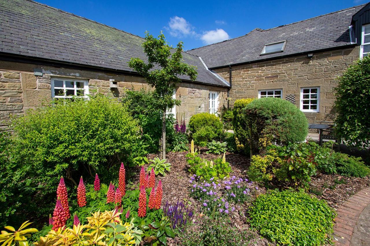 Balgavies Home Farm - Cottage Forfar Exterior photo